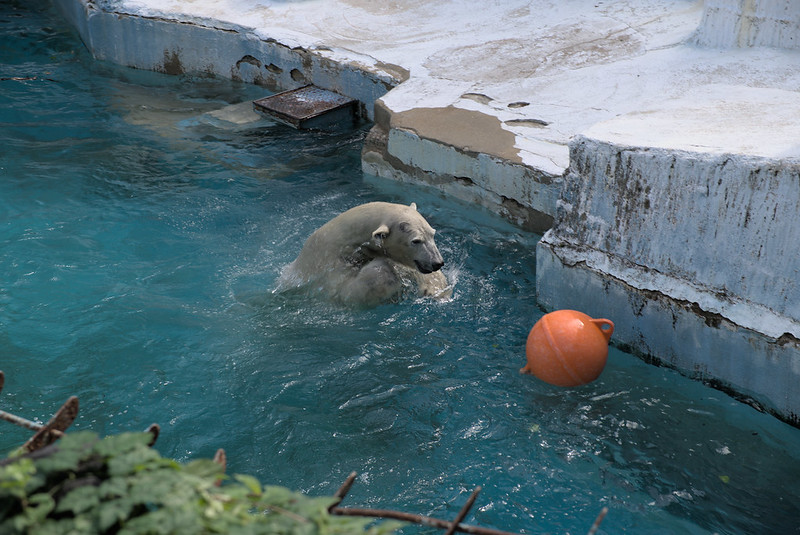 2_zoo